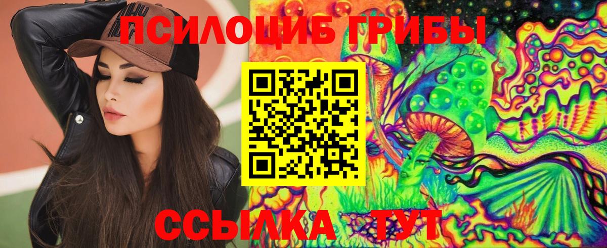 Галлюциногенные грибы Psilocybine cubensis  Галлюциногенные грибы ЛСД  Орск  где продают   Вход с VPN 