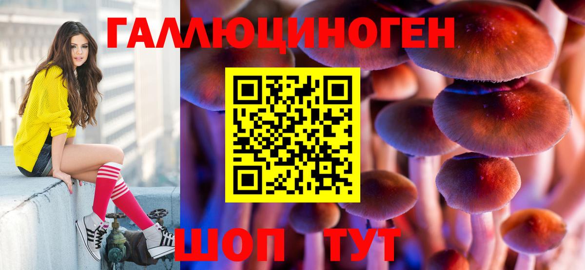 Псилоцибиновые грибы GOLDEN TEACHER Орск